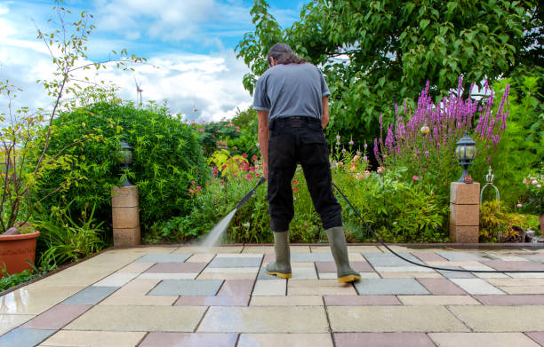 Professional Pressure Washing Services in Elmira Heights, NY