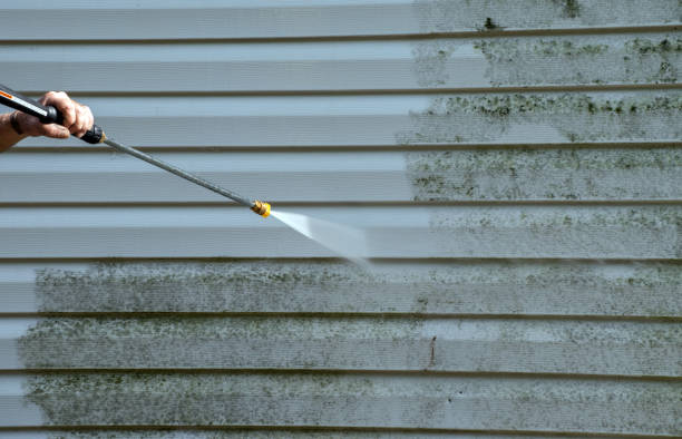 Best Solar Panel Cleaning  in Elmira Heights, NY